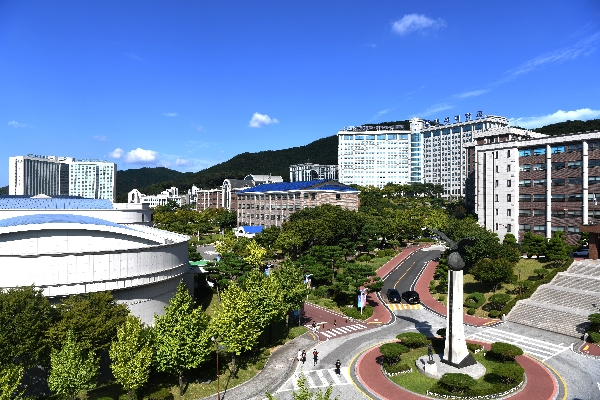 "아직도 몰라?"...장례식장이 두려운 당신에게 대표이미지